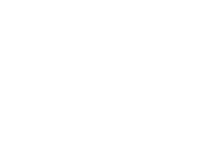 logo white
